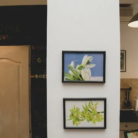Strada Smardan Studio Apartment *