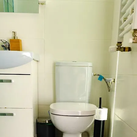 Apartment Strada Smardan Studio *